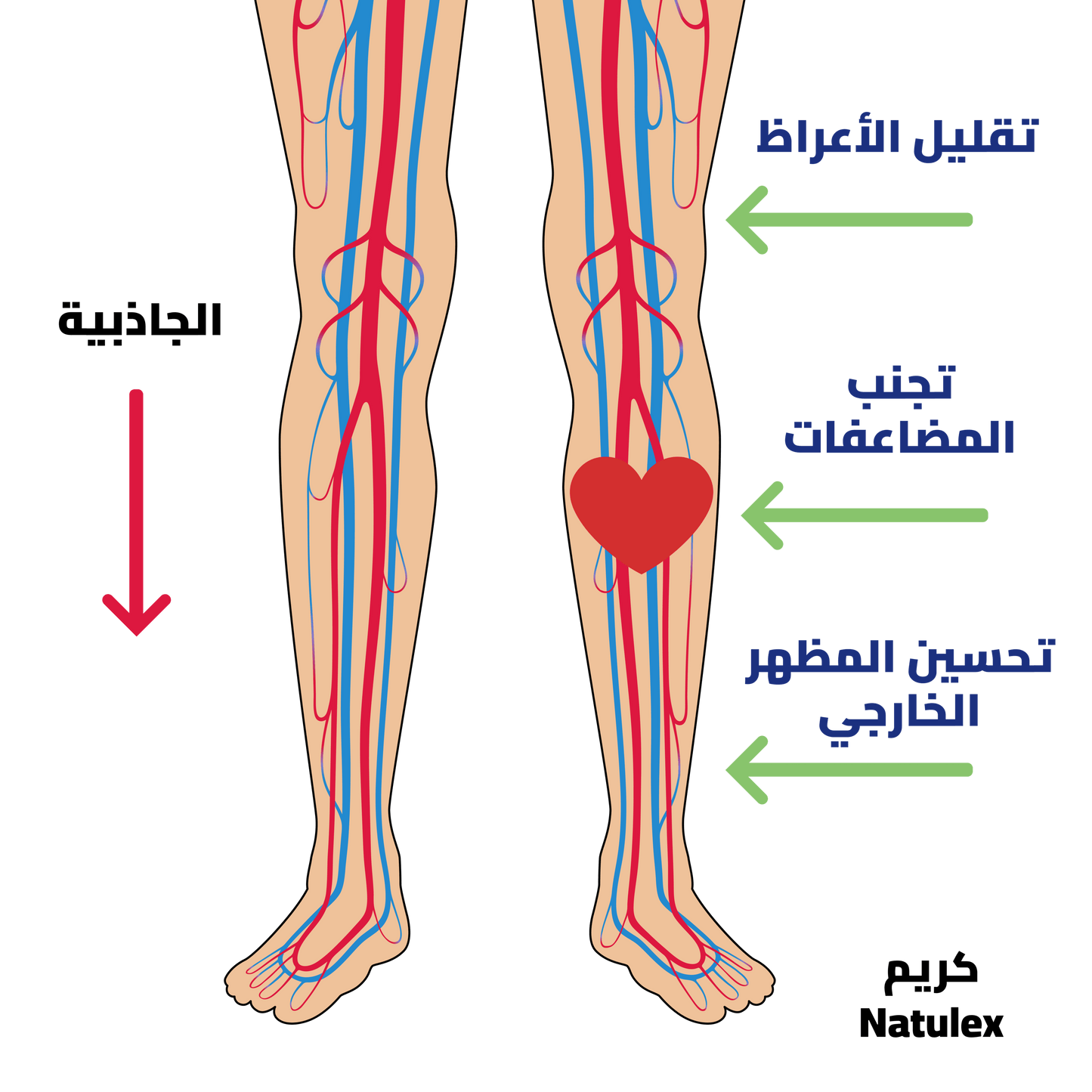 Natulex Creme Anti Douleur & Varice - 100ml